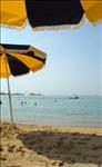 113 On the Beach in Cannes